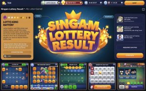 Singam Lottery Result